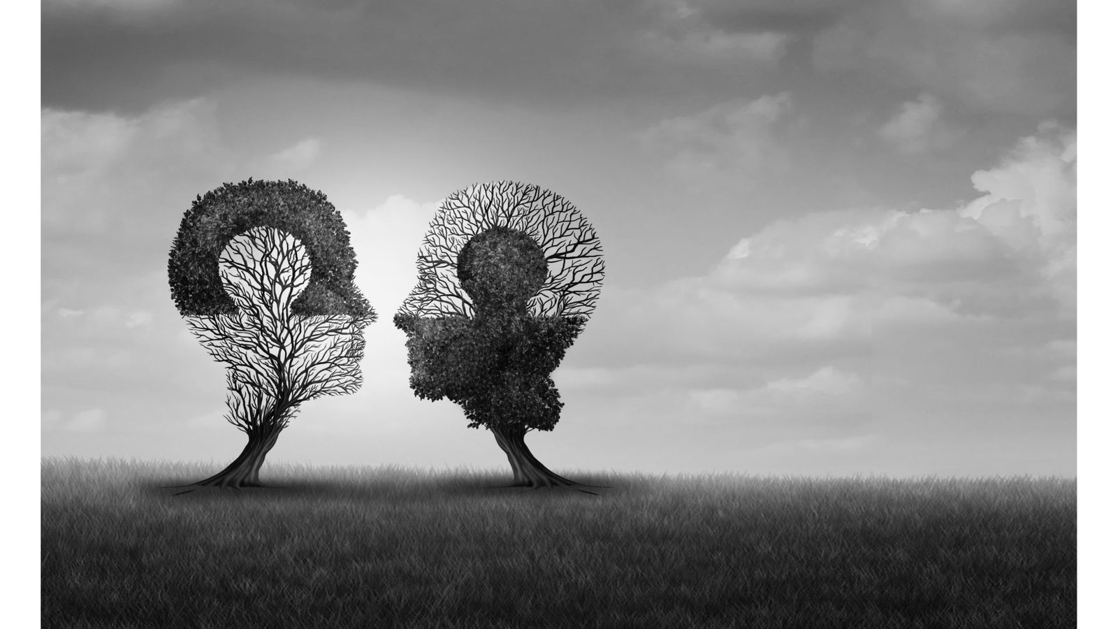 Two bare trees shaped like facing human heads against an open sky